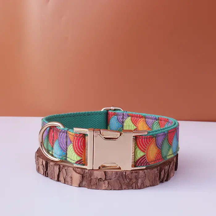 Collier de chien personnalisé, style japonais, estampage à chaud, identification personnalisée, grav