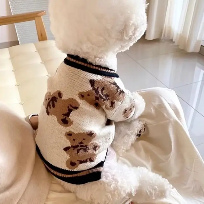 Pull pour chien de compagnie, pour petits et moyens chiens, chiot, chat, ours, manteau Cardigan, Chi