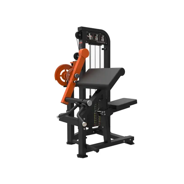 Machine professionnelle de boucles de biceps et de triceps, pour l'entraînement Commercial, les entr