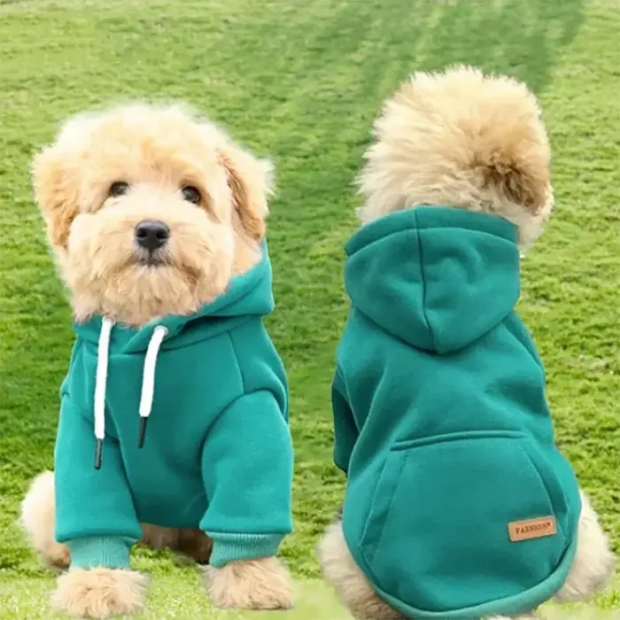 Sweat à Capuche Chaud et Souriant pour Animaux de Compagnie