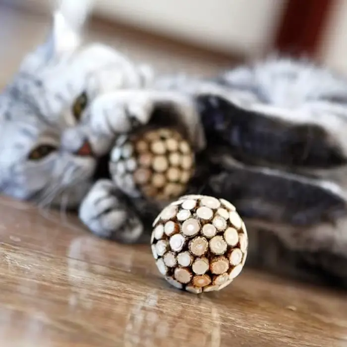 Nouvel ensemble de jouets à mâcher pour chats : boule et bâton de Silvervine – Nettoyage des dents, 