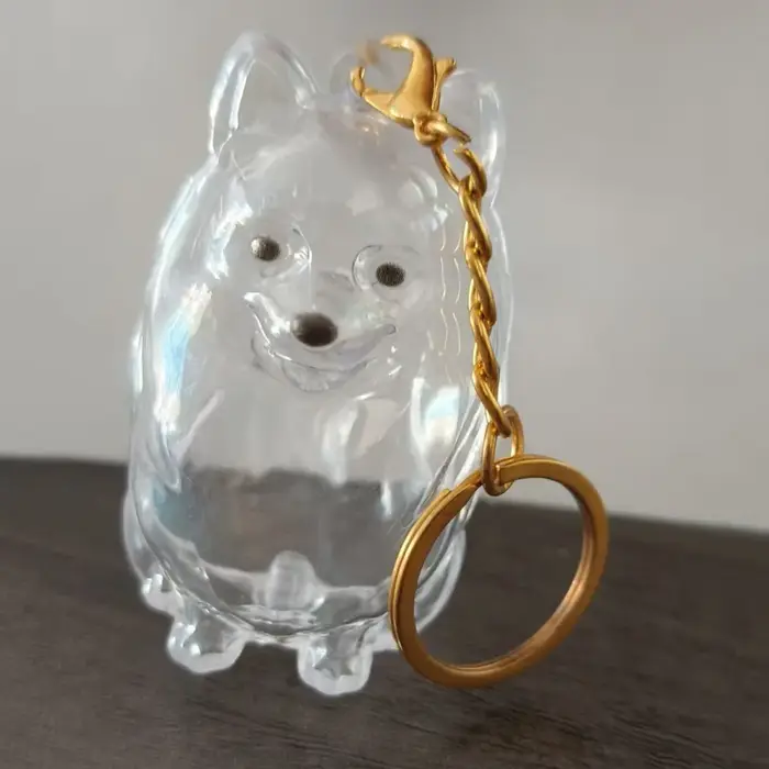 Boîte de rangement pour poils de chien en forme de chien, porte-clés transparent pour poils d'animau