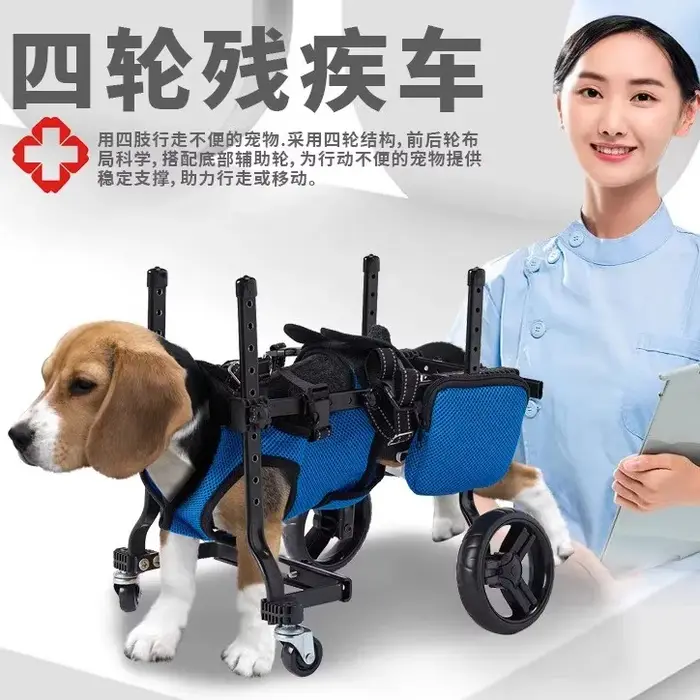 Voiture de rééducation à quatre roues pour chien, scooter pour petit chien