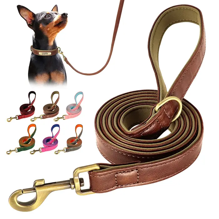 Laisse en cuir pour chien de 5 pieds
