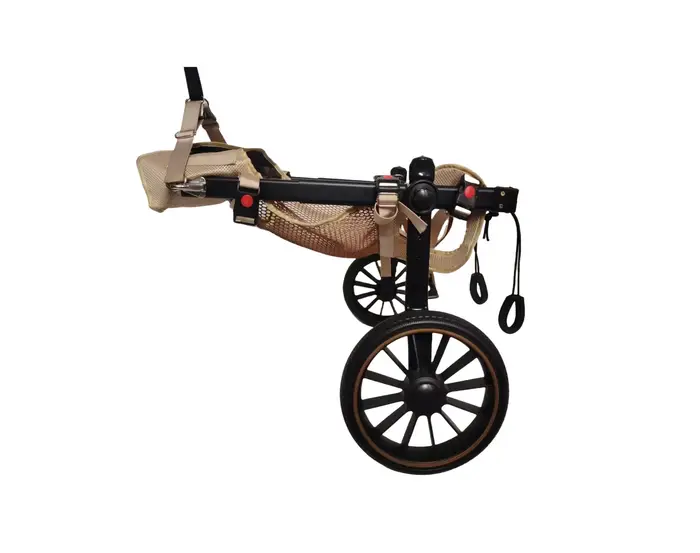 Fauteuil roulant de rééducation pour chien, chiens de taille moyenne à grande, assistance aux membre