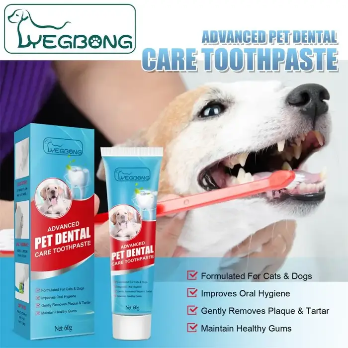 Dentifrice pour animaux de compagnie 60g nettoyage des dents pour chiens et chats hygiène bucco dentaire occasionnelle et régulière