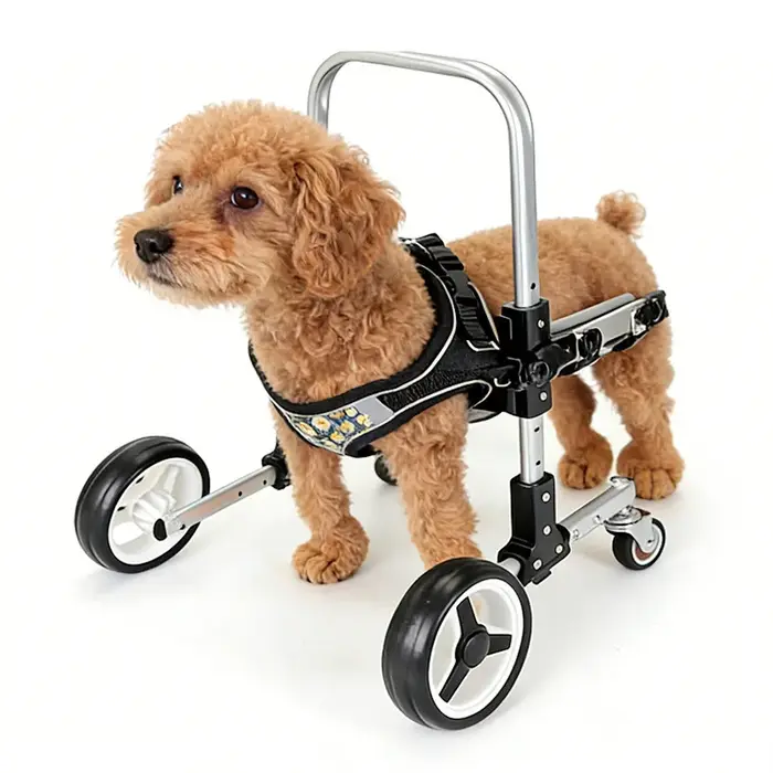 Fauteuil roulant pour petits animaux de compagnie, fauteuil roulant abordable pour chiens handicapés