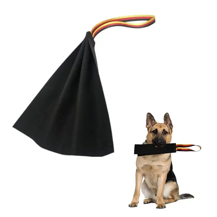 Chiffon à mordre pour chiens, entraînement des chiens, développement de la poignée, jouet pour