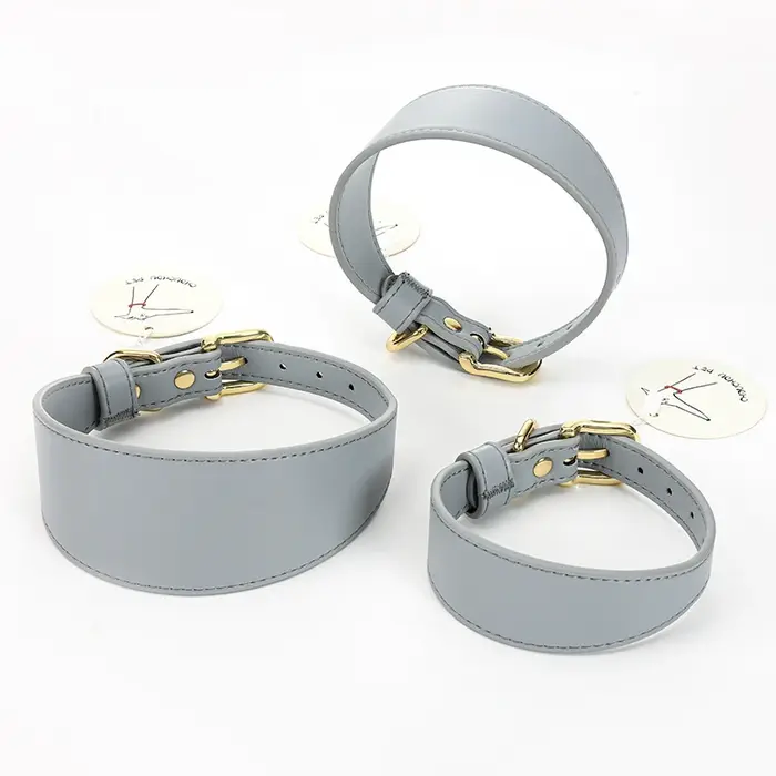 Collier et laisse en PU souple pour lévrier italien