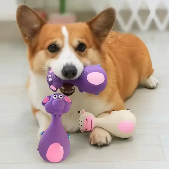 Jouets à Mâcher en Caoutchouc Souple