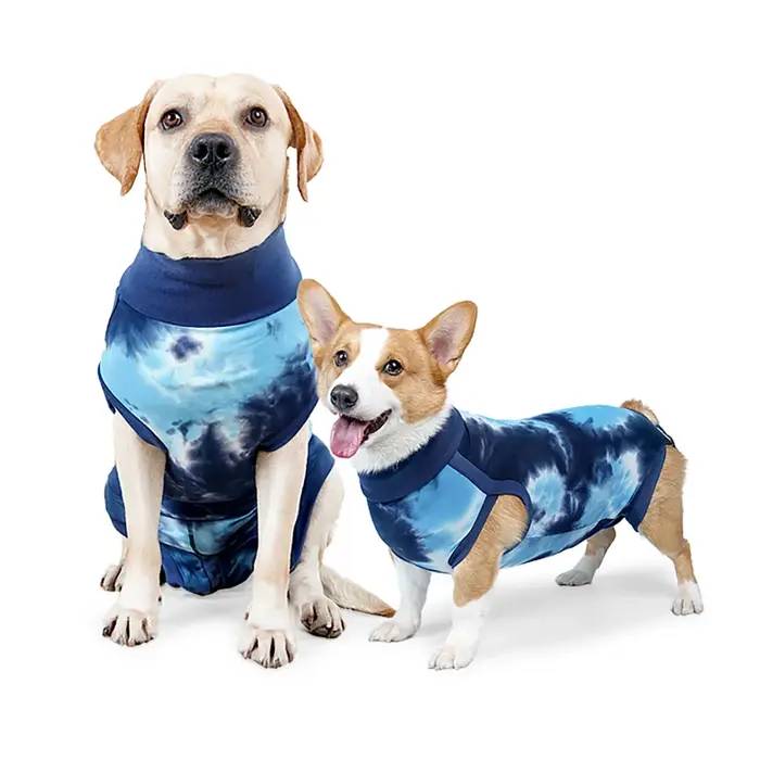 Combinaison de récupération pour chien