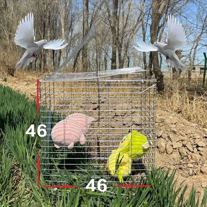Cage à pigeons, conception rotative à bascule, cage à oiseaux galvanisée pour extérieur, attrape-pig