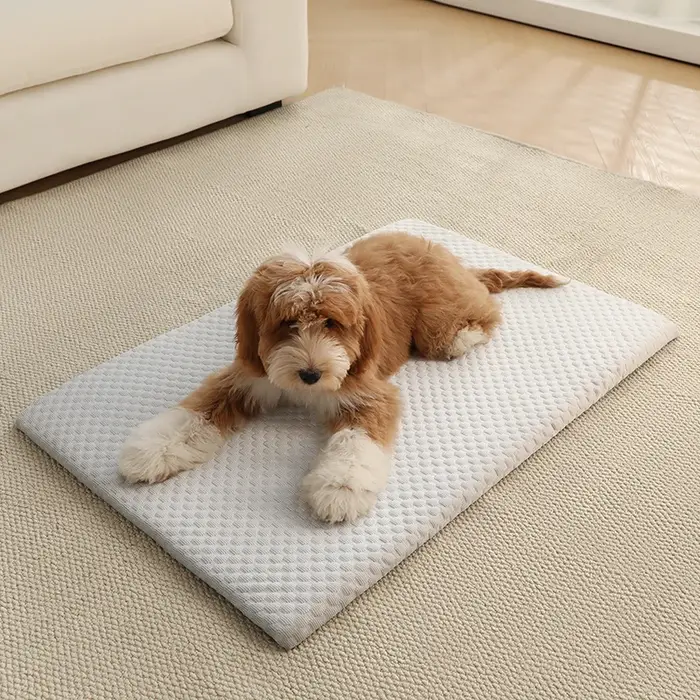 Nouveau tapis rafraîchissant en soie glacée pour animaux de compagnie, épais et respirant, coussin d