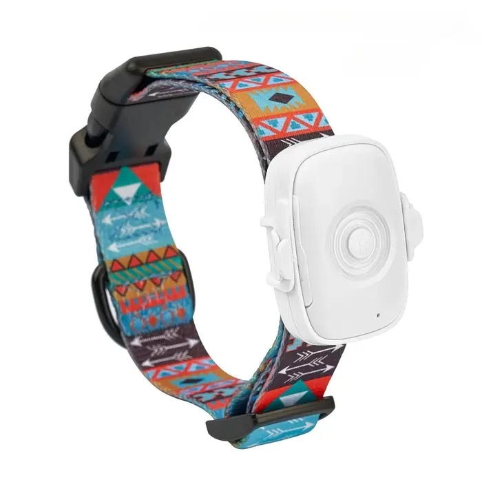 Collier GPS intelligent 4G pour chiens et chats, sans frais mensuels, sans abonnement, sans frais ca