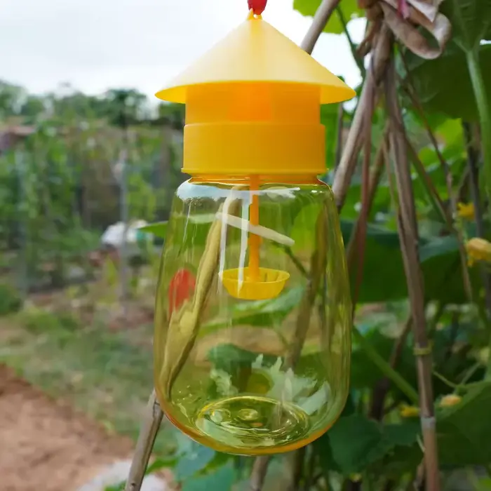 Piège à mouches des fruits pour vergers, potagers et champs de melons – Comprend un attractif et un 