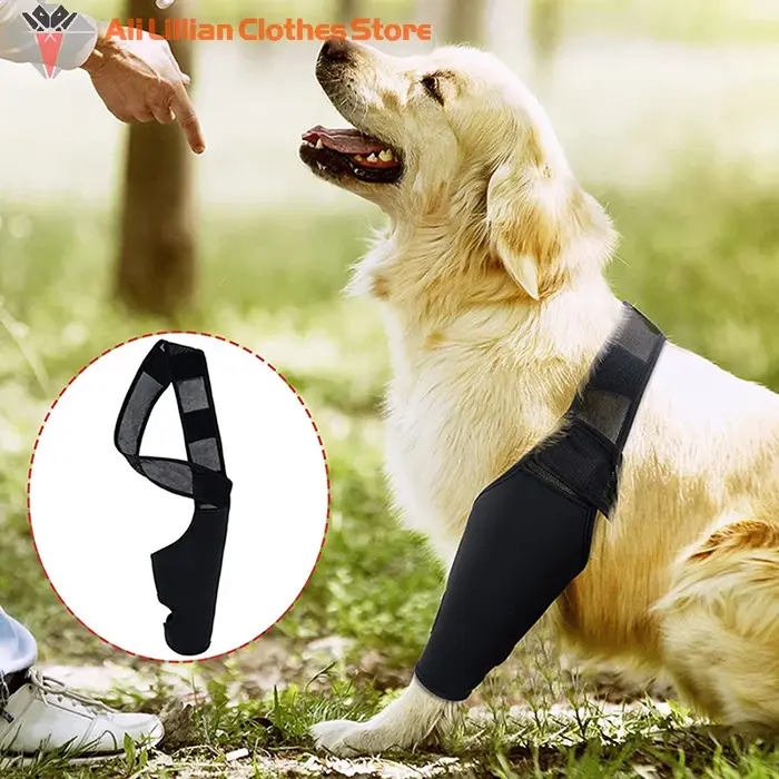 Genouillères pour chien