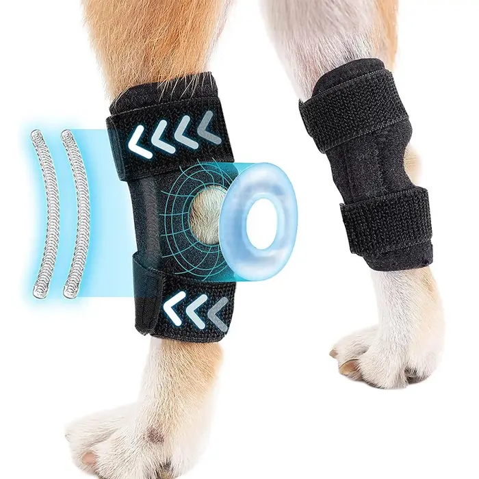 Protège-Genou pour Chien : Bandage de Soutien pour Arthrite