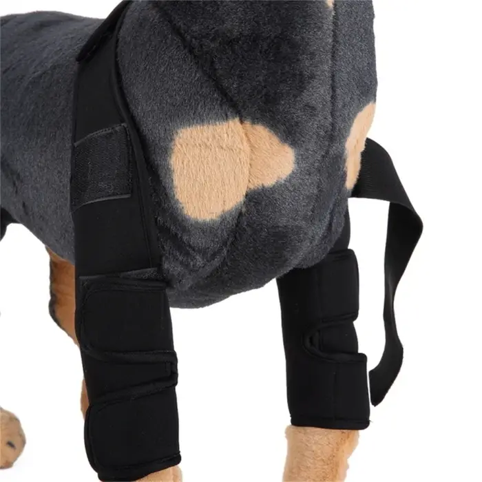 Protège-coudes avant pour chien, genouillère, manchon de jambe, anti-léchage, blessure, récupération