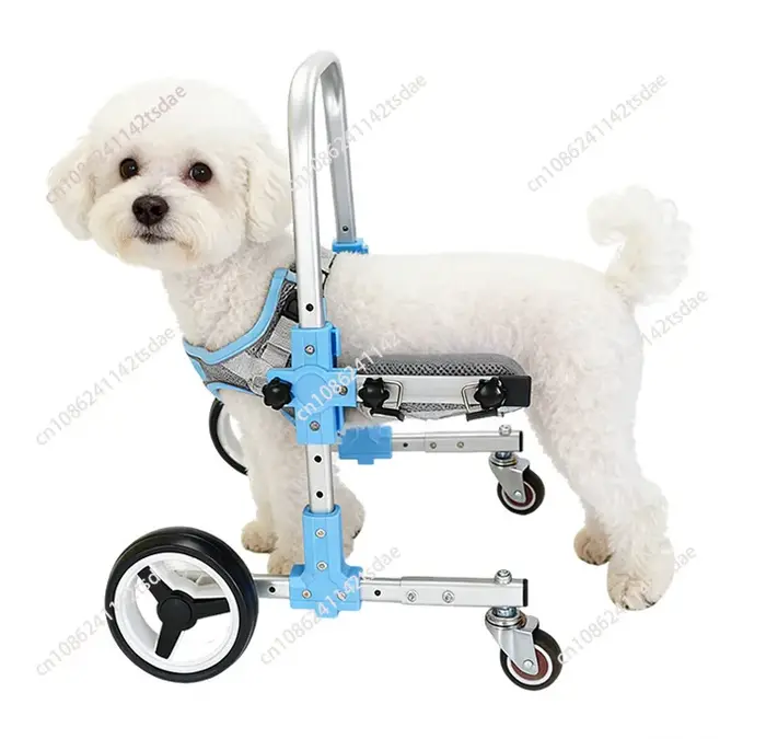 Fauteuil roulant léger pour chien à quatre roues pour pattes avant, véhicule d'assistance abordable 