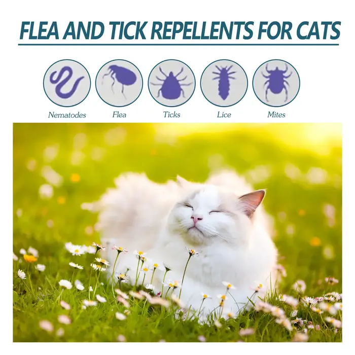 Gouttes anti-grippage pour animaux de compagnie