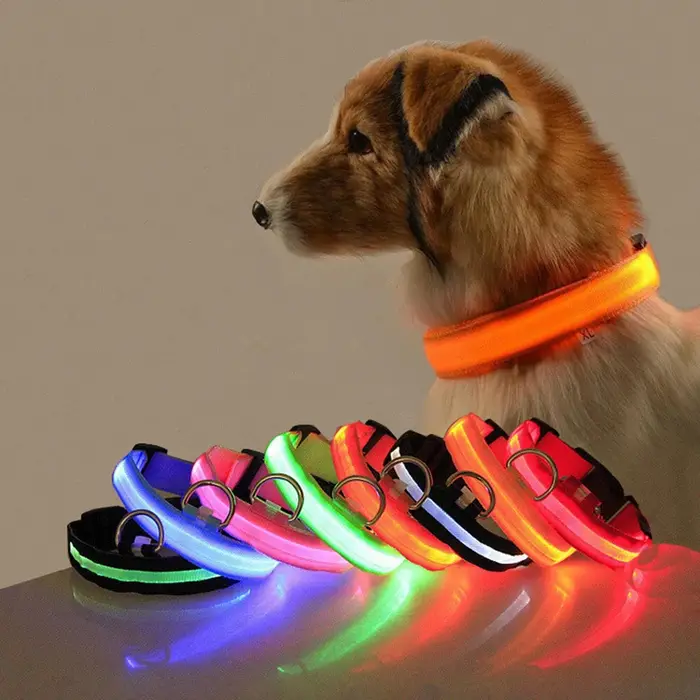 Collier de sécurité nocturne pour chien veilleuse LED en nylon USB rechargeable clignotant automatique protection fluorescente pour promenade et voyage de chien