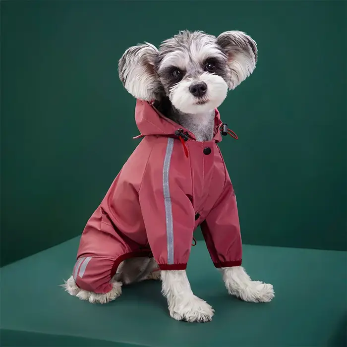 Manteau imperméable réfléchissant pour chien, vêtements imperméables pour animaux de compagnie, peti