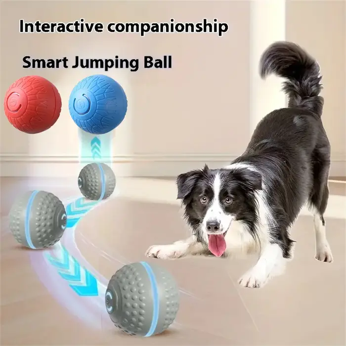 Jouet intelligent pour chien