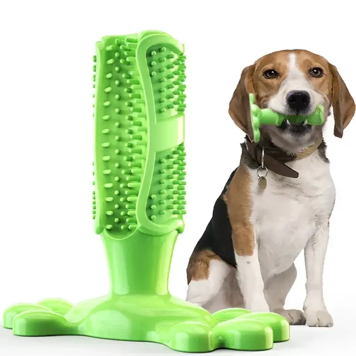 Jouets pour chiens dents à croquer gomme à mâcher mauvaise haleine brossage pour chiens de grande ra