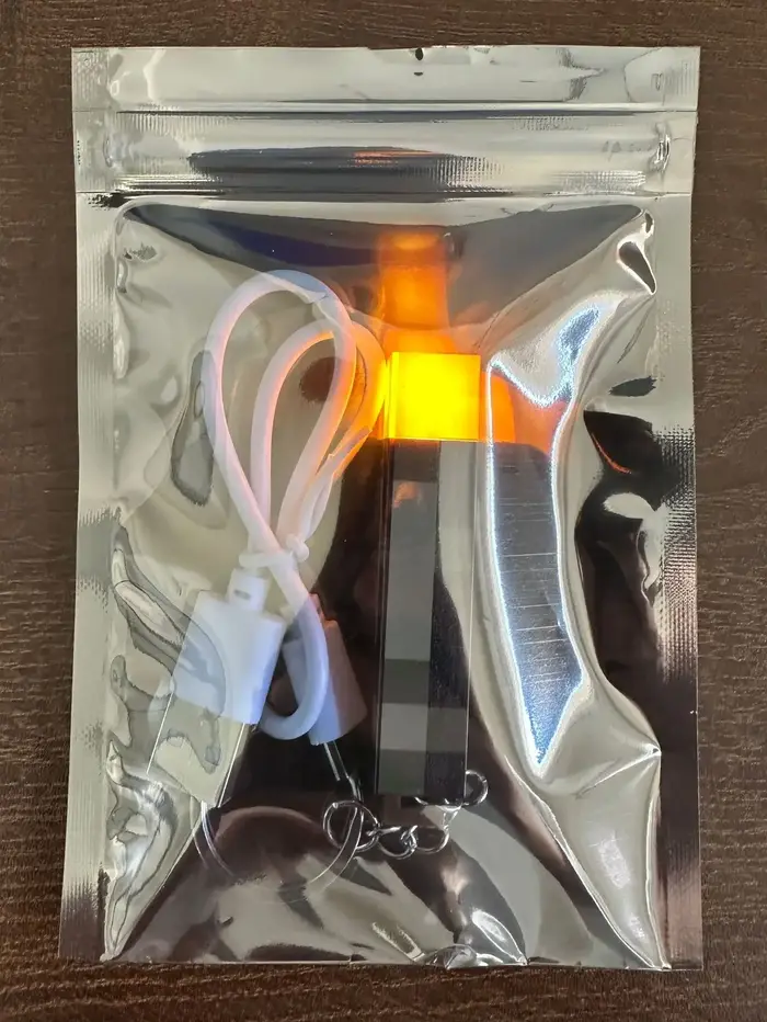 Veilleuse LED Chien Loup, Figurine de Jeu, Modèle Lumineux Chiot Loup, Ornement Décoratif, Marchandi