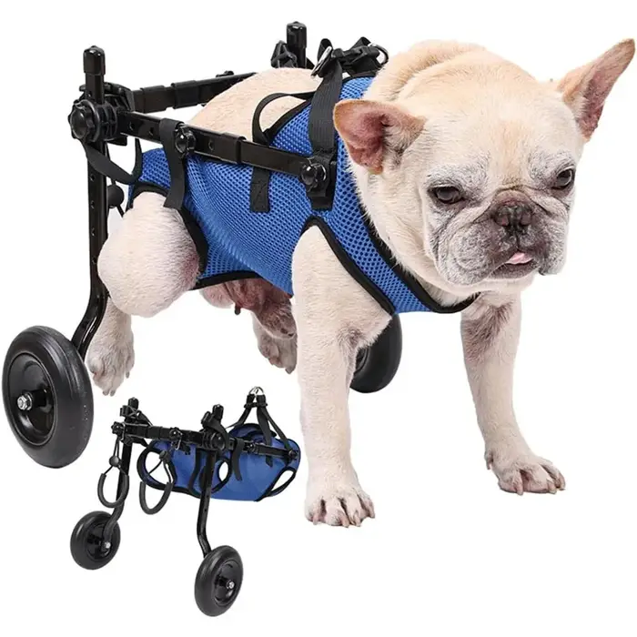 Chariot de fauteuil roulant pour chien handicapé