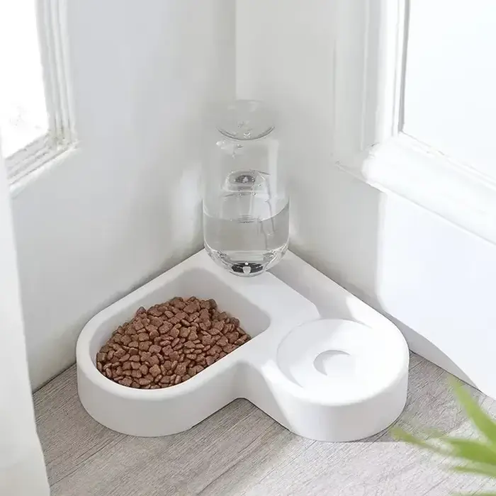 Bol Double pour chien et chat, ensemble de bols de nourriture pour animaux de compagnie avec bol d'a
