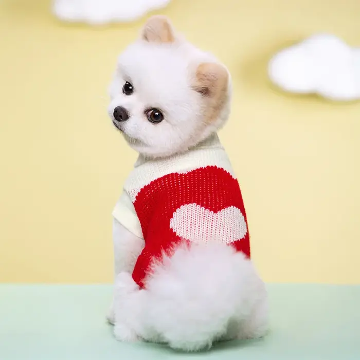 Chien avec tout pull S-2XL automne hiver pour petit chien chat doux confortable vêtements chauds Chi
