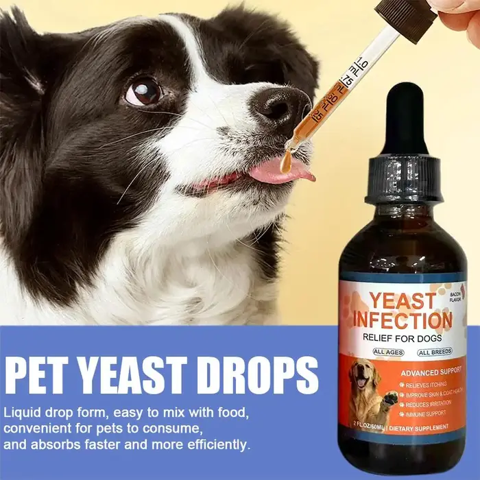 Gouttes de levure pour animaux de compagnie 60 ml pour la santé digestive, améliore la diarrhée et l