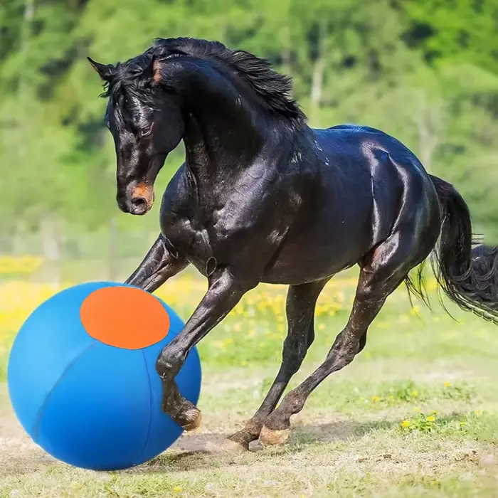 Balle de jeu d'animaux à quatre pattes pour animaux de compagnie