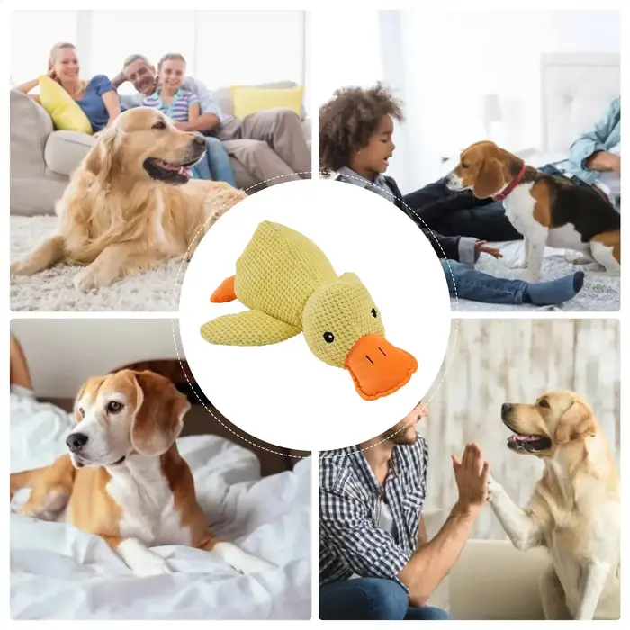 Jouet en peluche de canard pour chiens divertissant et nettoyant les dents pour chiots et grands chiens occasions spéciales