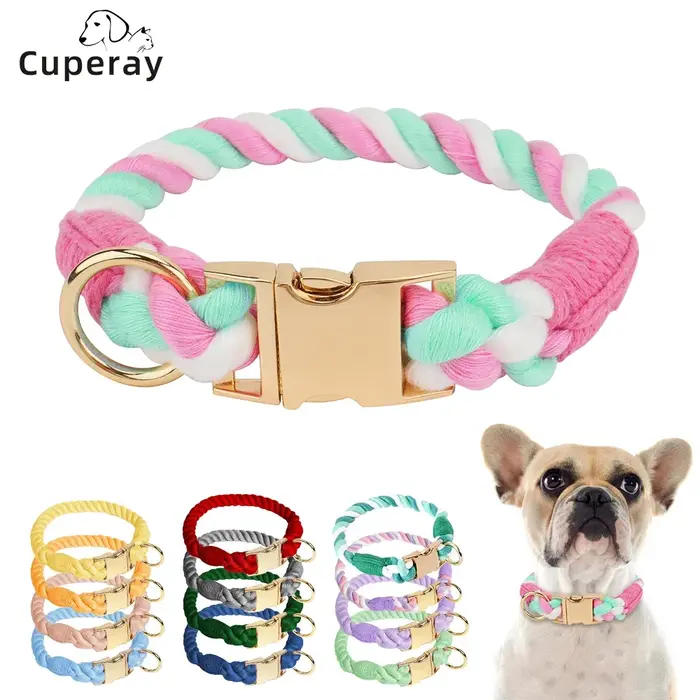 Collier pour chien couleurs acidulées