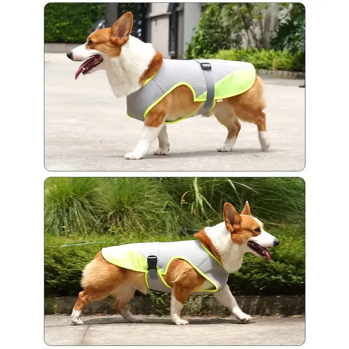 Gilet rafraîchissant pour chien pour l'été, avec protection contre la chaleur et protection solaire respirante, gilet rafraîchissant pour chien pour l'extérieur