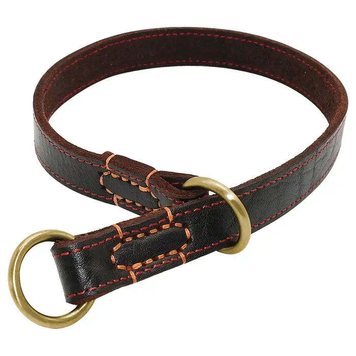 Colliers de chien en cuir véritable antidérapants durables, moyens et grands chiens, collier d'entra