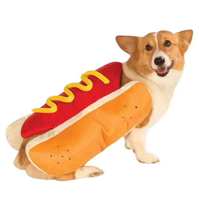 Costumes d'Halloween amusants pour chiens, vêtements réglables en forme de teckel et de saucisse, vê