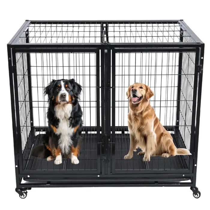 Cage d'élevage en métal robuste pour chien, peut contenir deux animaux de compagnie, élevage en plei