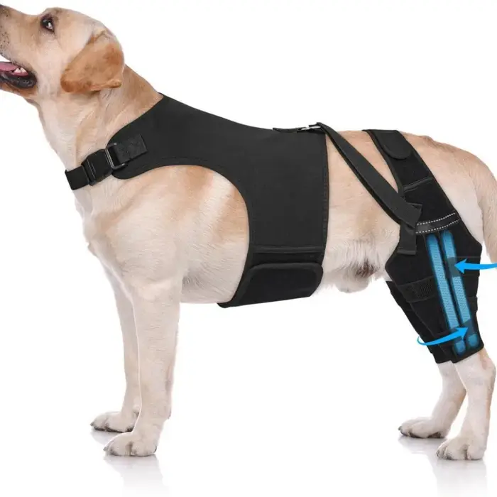 Attelle pour genou de chien pour l'entorse du ligament croisé antérieur (LCA) de la patte arrière, a