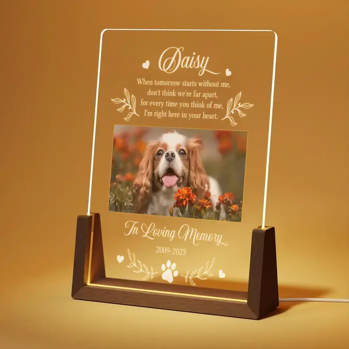 Cadeau commémoratif personnalisé pour chien, Plaque photo LED pour animaux de compagnie, avec photos