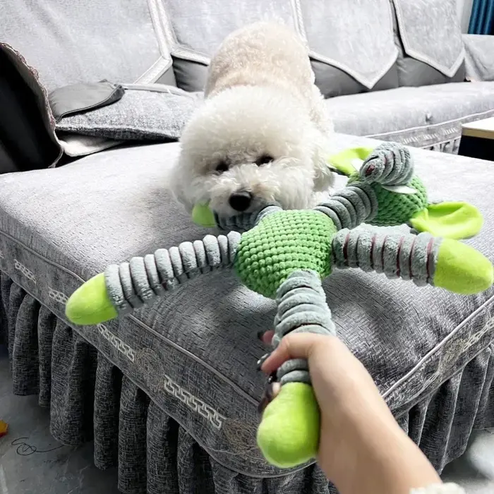 IndeBuckle-Jouet à mâcher en peluche douce pour animaux de compagnie