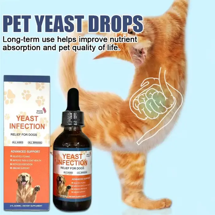 Gouttes de levure pour animaux de compagnie santé intestinale système immunitaire digestion peau et poils qualité de vie amélioration absorption nutriments usage long terme occaions spéciales