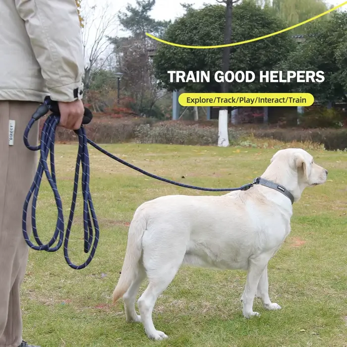 Laisse d'entraînement pour chien de 5 m/10 m/15 m