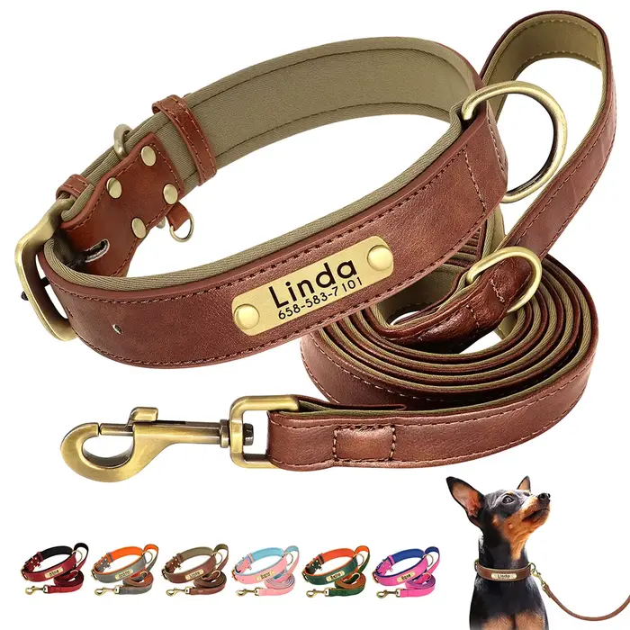 Ensemble de laisse de collier de chien en cuir personnalisé