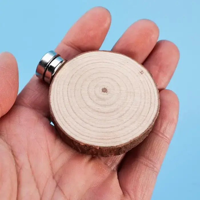 Niche magnétique artisanale pour araignées sauteuses – Mini-caverne décorative et sécurisée pour ara