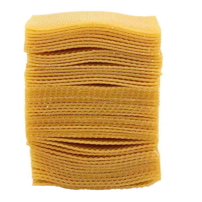 Ruche pour apiculture, 50 pièces, cadre de base en nid d'abeille, ruche de jardin, outils pour l'api