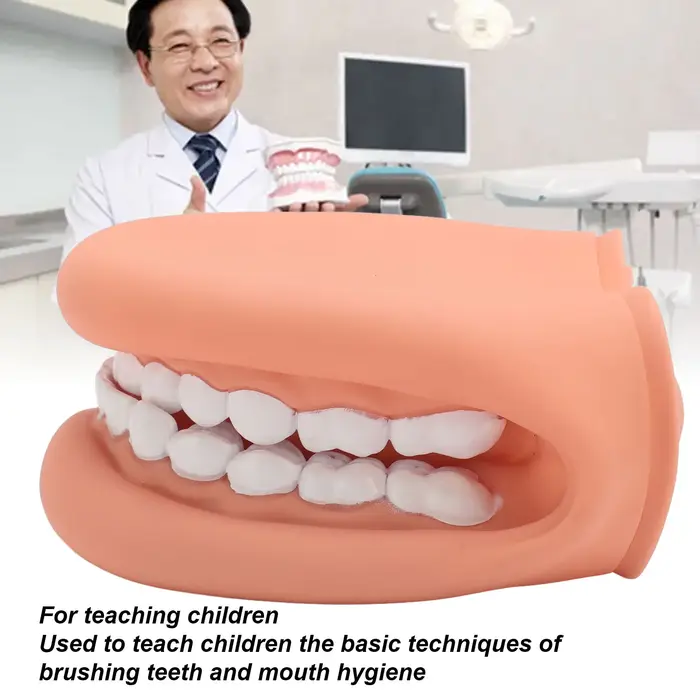 Marionnette buccale en silicone avec 28 dents et langue pour l'enseignement de la parole et de l'hygiène bucco-dentaire pour enfants occasions spéciales
