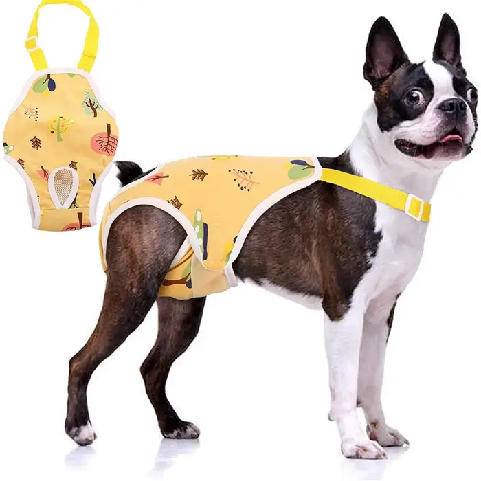 Shorts à bretelles pour chien femelle